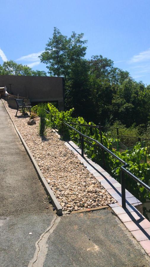 Schlossberg Apartments & Garten In Der Natur & Unweit Vom "Thueringer Meer" Unterwellenborn Exterior foto
